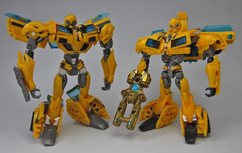 AM02_BUMBLEBEE_40.jpg